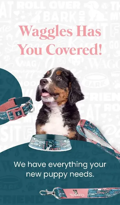 Waggles has you Covered