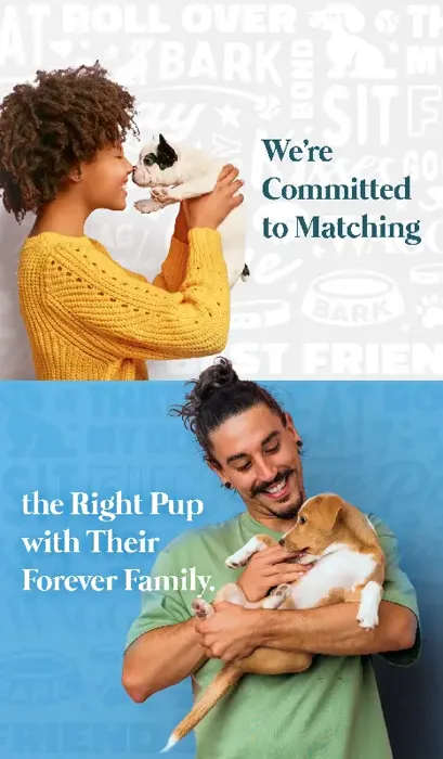 We're Committed to Matching the Right Pup with Their Forever Family.