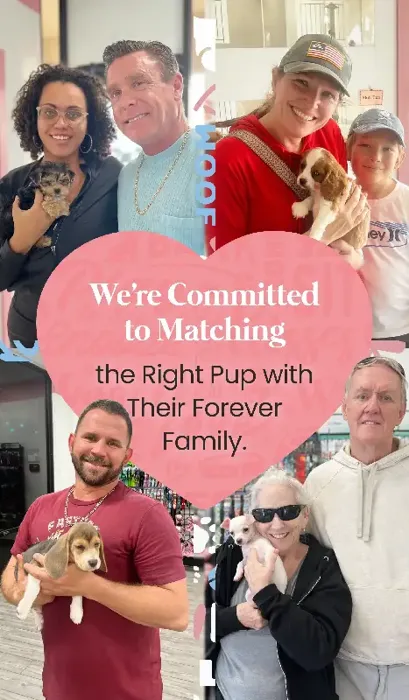 We're Committed to Matching the Right Pup with Their Forever Family.
