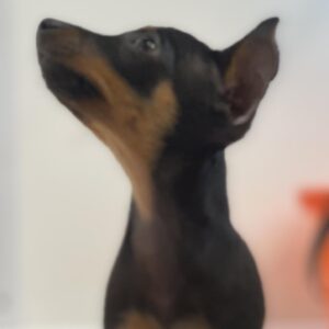 Beatrice, photo 1